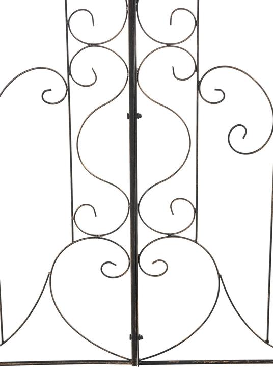 Actual product image CLP Mandevilla (1 cm, 99 cm)