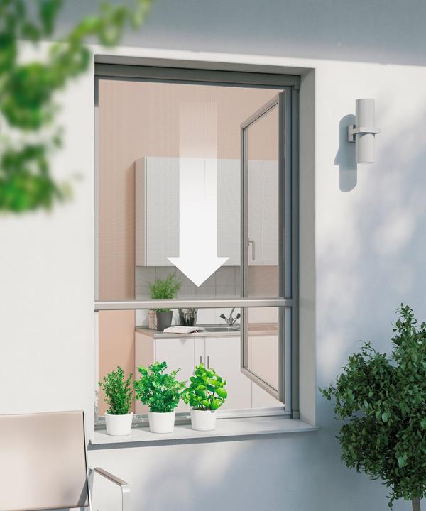 Produktbild Windhager Rollo (130 x 160 cm)
