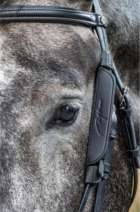 Produktbild Dy'on Mini Scheuklappen Blinker