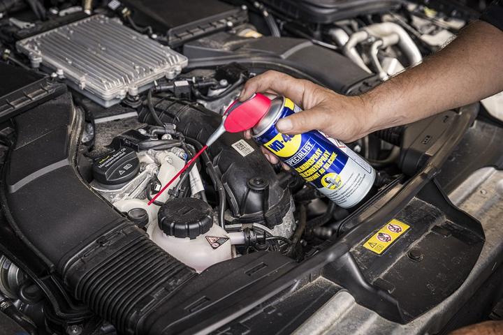 Actual product image WD-40 Silicone Spray Specialist (100 ml)
