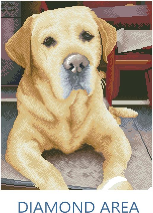 Image du produit Diamond Dotz Squares Original Diamond Painting Set Labrador "KING" 40 x 50 cm, 28.200 carrés
