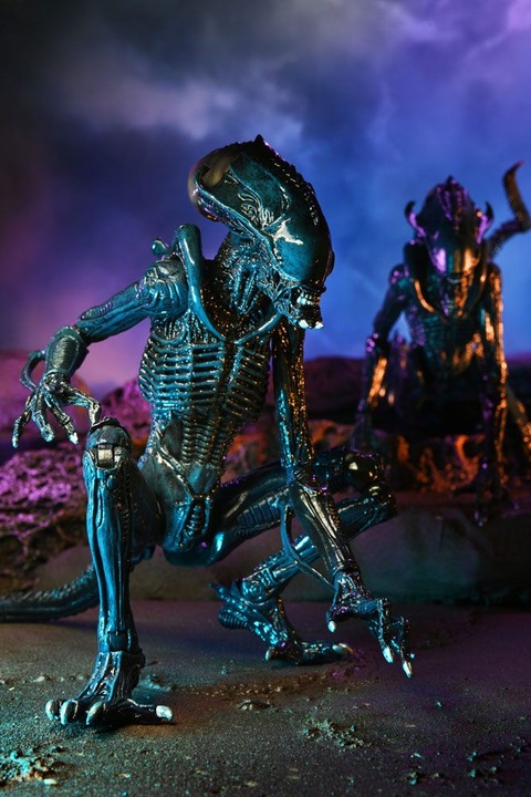 Produktbild Neca Alien vs Predator “Alien Sortiment” 3er Actionfiguren Set