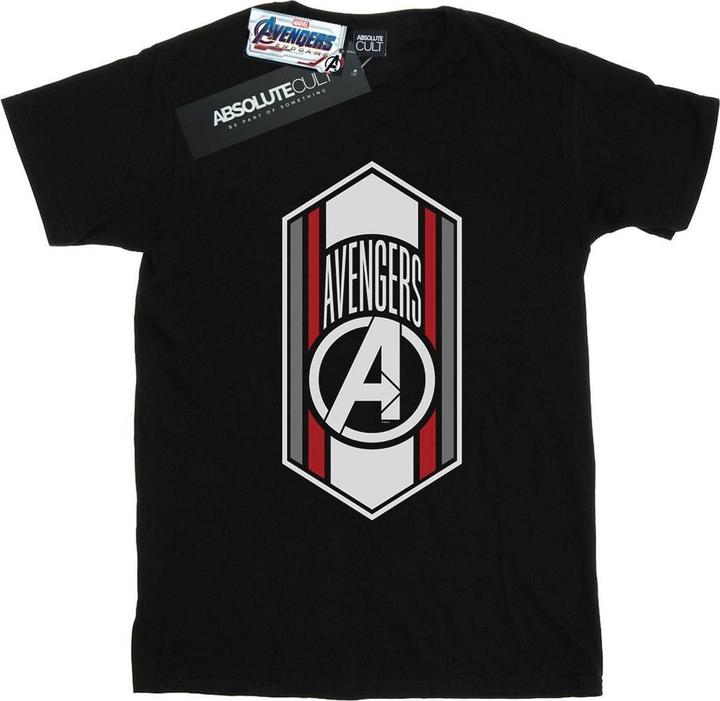 Image du produit - T-shirt AVENGERS ENDGAME TEAM ICON - Homme (4XL)