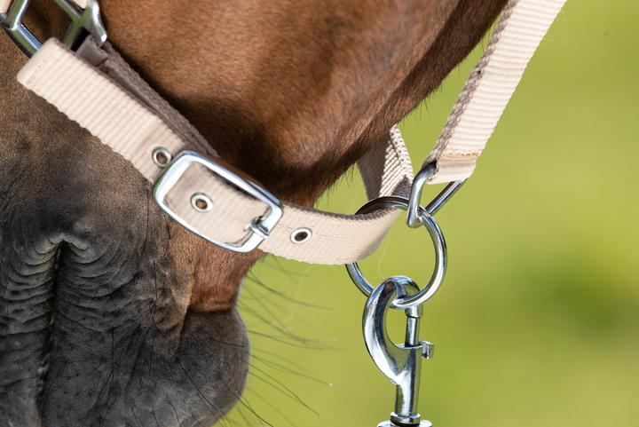 Produktbild HFI Master First