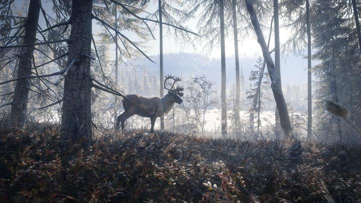 Produktbild THQ PS4 The Hunter Call of the Wild (PS4, FR, EN)