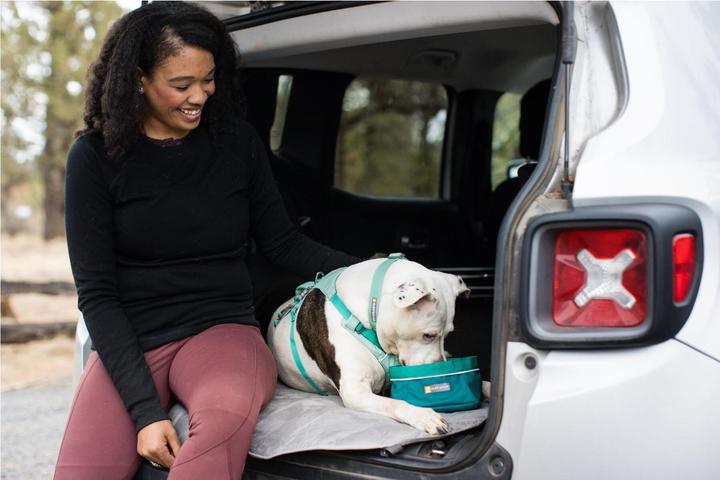 Image du produit Ruffwear Harnais Flagline (M, Chien, Général)