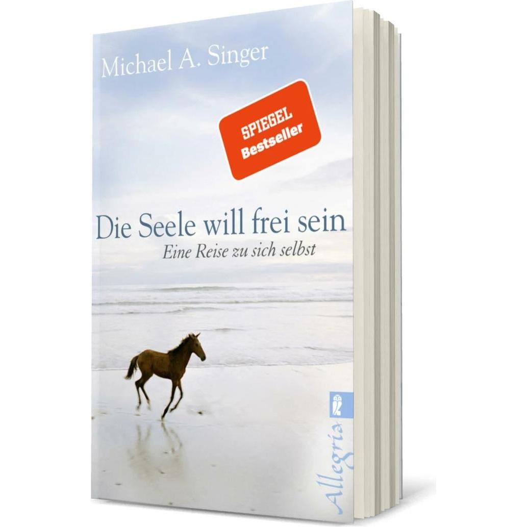 Die Seele will frei sein, Ratgeber von Michael A. Singer