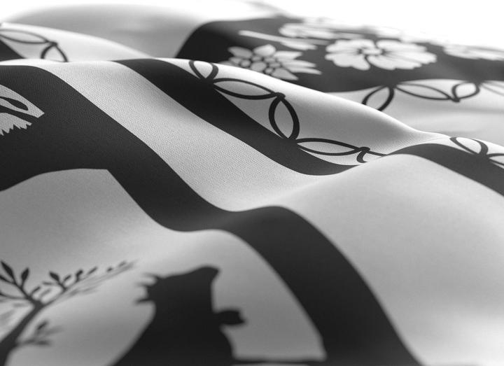 Produktbild Home Fashion «Alpenperle» (Duvetbezug, 160 x 210 cm)