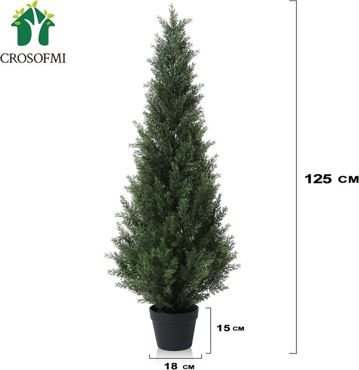 Produktbild Crosofmi Zedernbäume (125 cm)