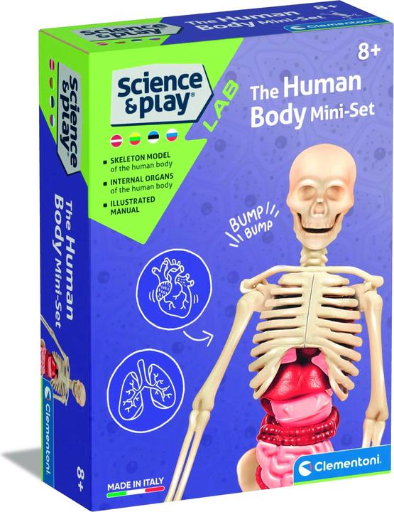 Actual product image Clementoni TOY EDUCATIONAL THE HUMAN BODY 50824