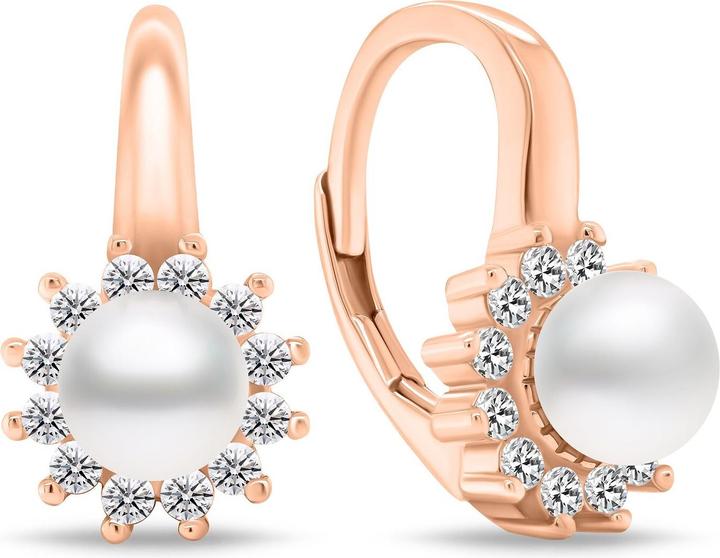 Produktbild Brilio Silver - Elegant bronze earrings with zircons EA788R