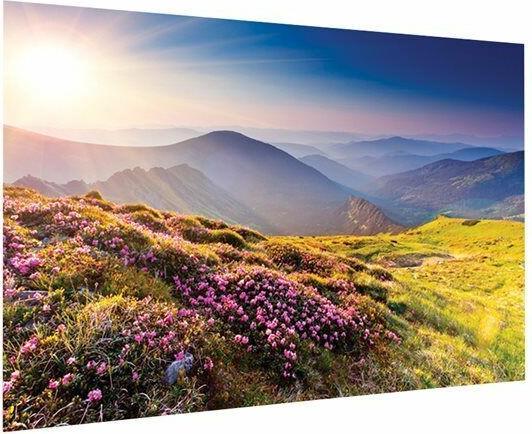 Actual product image Projecta FullVision - 6.88 m (271 inches) - 6 m - 3.38 m - 16:9 - HD Progressive 1.1 (271", 16:9)