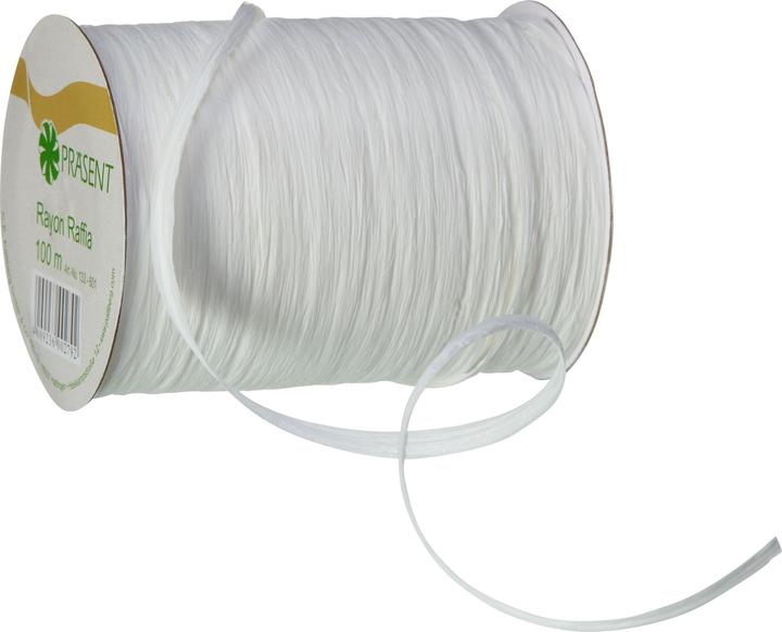 Actual product image micasa Rayon Raffia (1x)