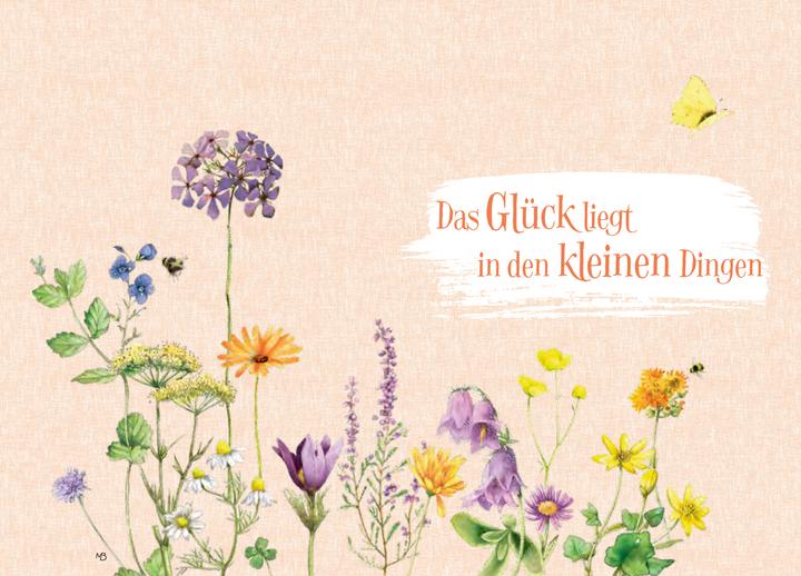 Produktbild Sonnenschein, Freiheit und eine kleine Blume braucht man (Deutsch, Kristina Schaefer, Marjolein Bastin, 2024)