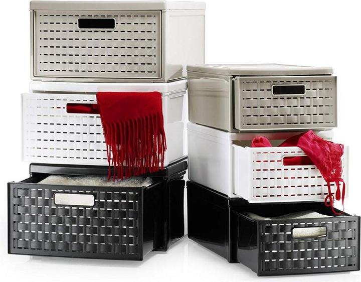 Immagine prodotto Rotho Paese (45 x 34 x 20 cm)