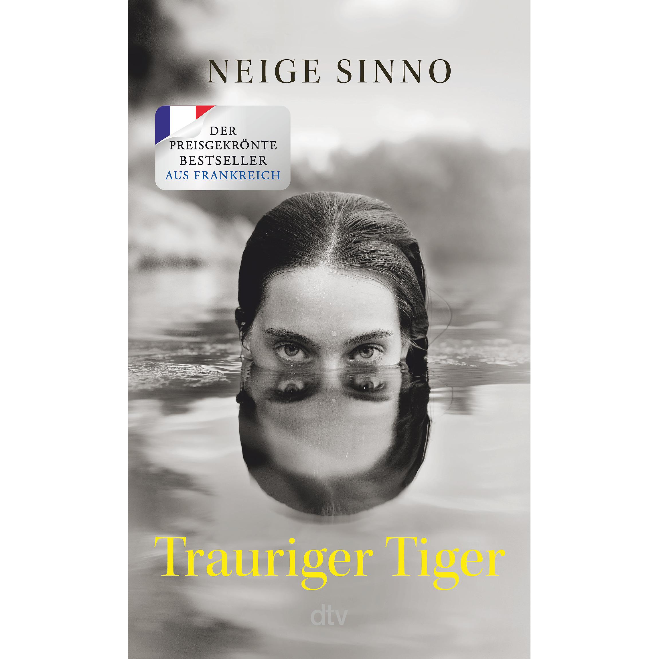 Trauriger Tiger, Belletristik von Neige Sinno