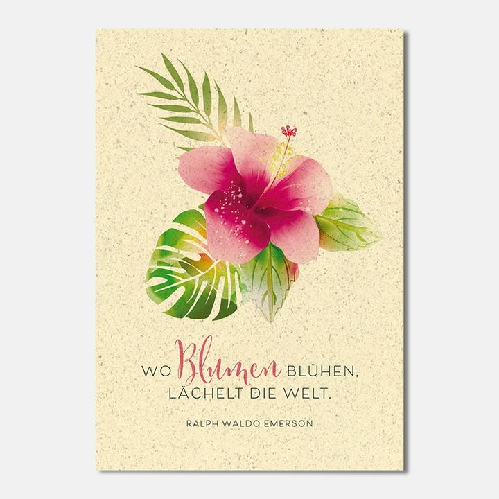 Actual product image Motif card flowers 17.5 x 12.2 cm, paper size: 17.5 (1 pcs.)