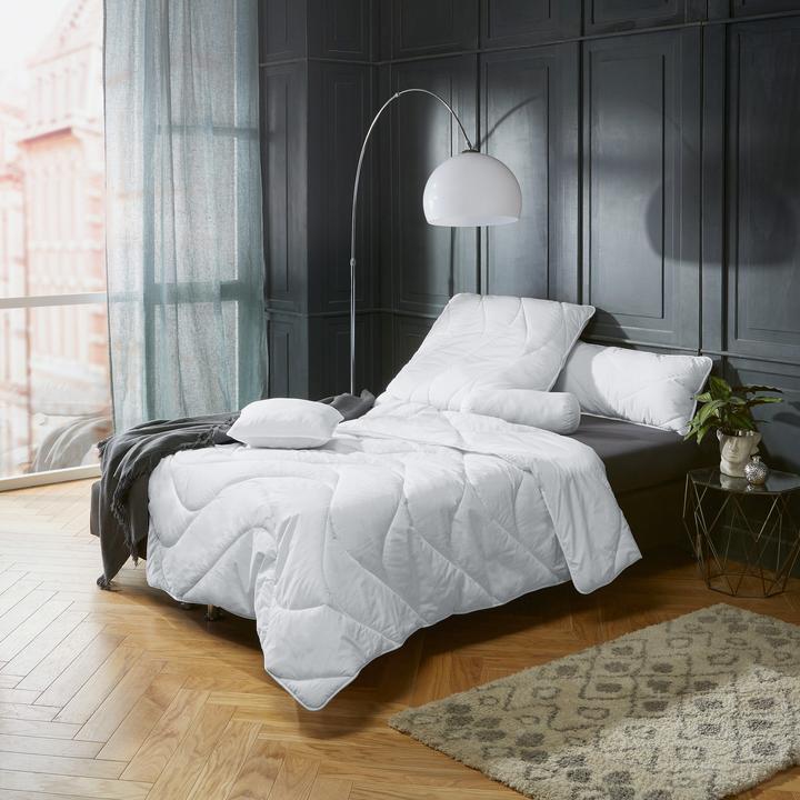 Image du produit Erwin Müller Lech (1200 g, 135x200 cm)