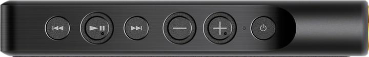 Actual product image Sony NW-WM1A Signature Series (128 GB)