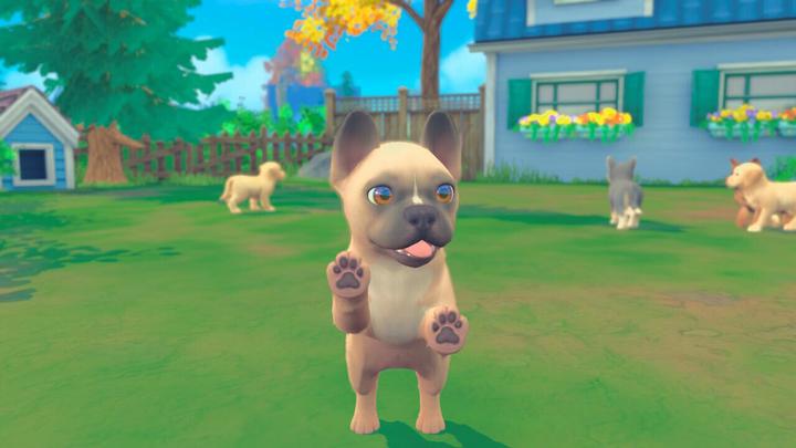 Image du produit Maximum Games My Universe - Chiens et chatons (Switch, IT)