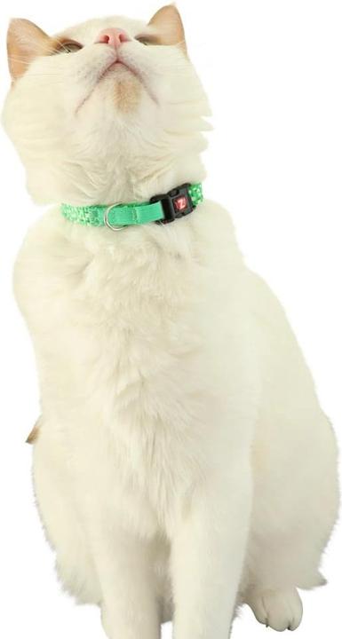 Image du produit Zolux Obroża dla kota z zawieszką w kształcie ptaka CHATOUILLE zielona (Chat, Promenade)