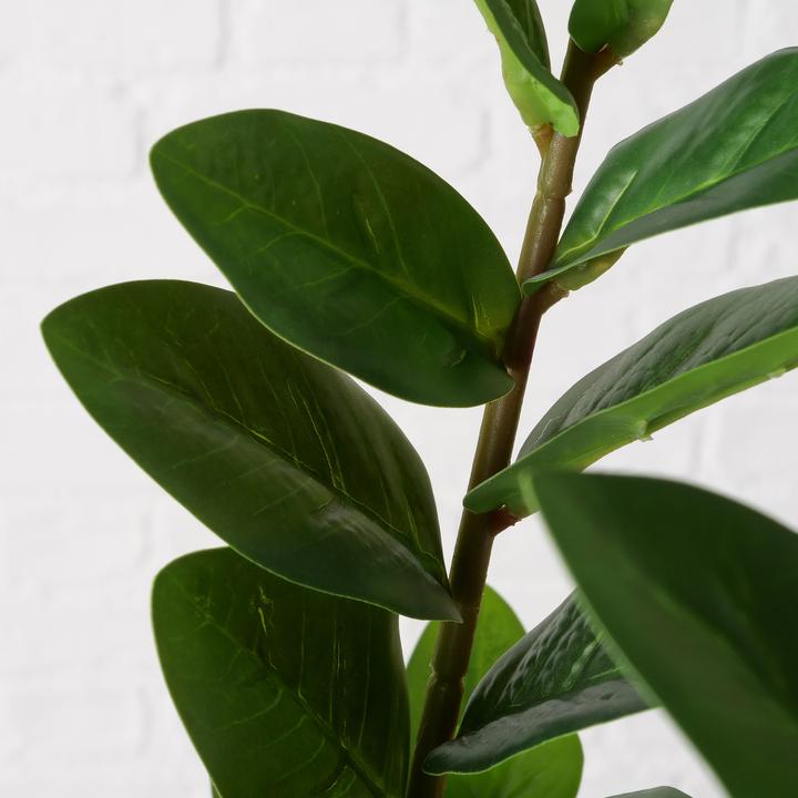 Actual product image Boltze Home Zamioculcas (76 cm)