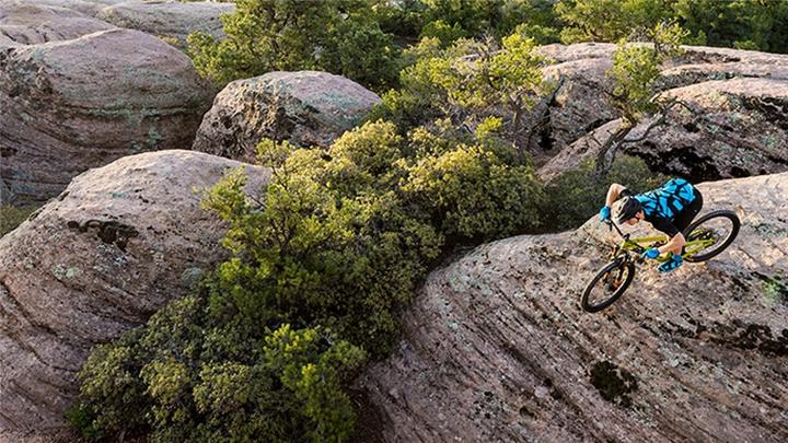 Actual product image Giro W La DND II Glove (L)