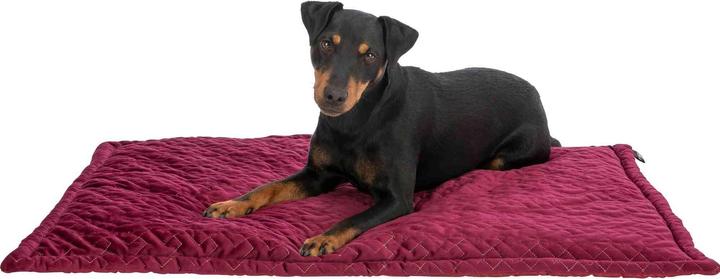 Image du produit Trixie Natalya lying mat, square, 90 × 60 cm, bordeaux (Chien)
