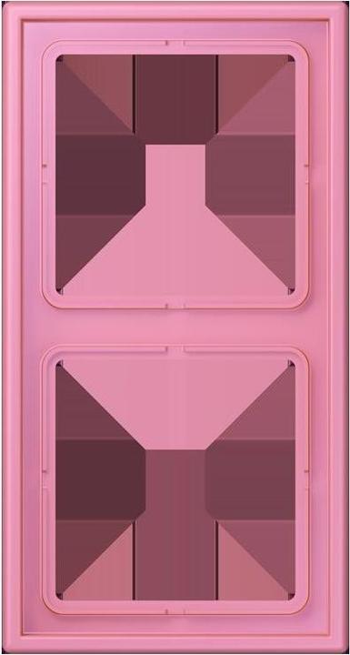 Rose Vif