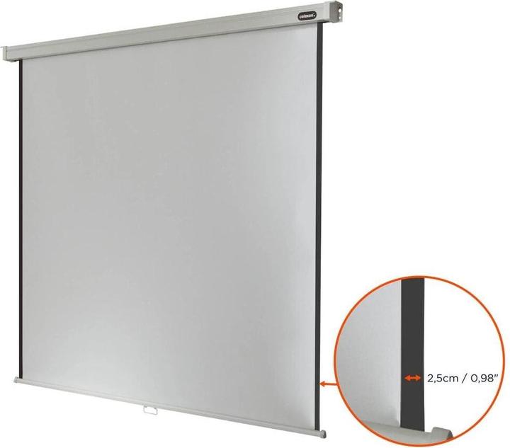 Actual product image Celexon Rollo Professional (112", 1:1)