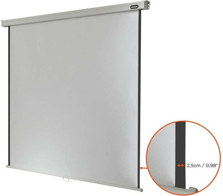 Actual product image Celexon Rollo Professional (112", 1:1)