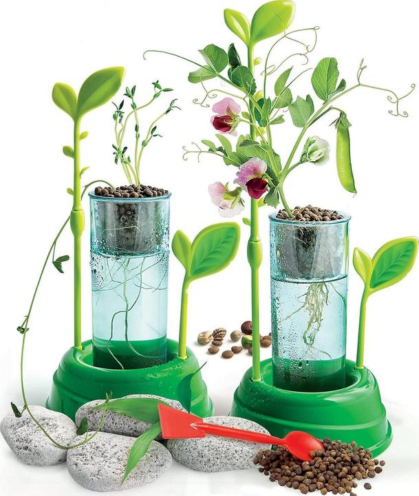 Actual product image Clementoni Botany and hydroponics