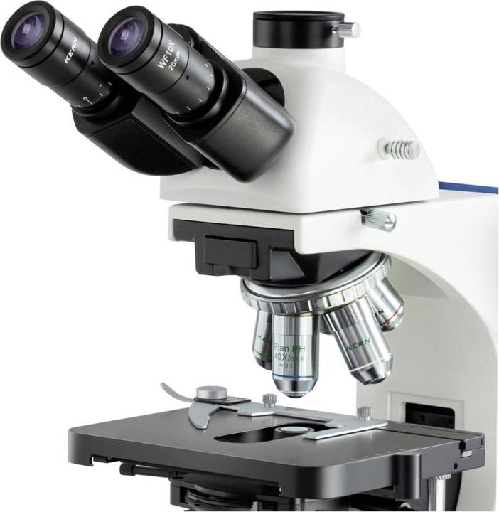 Produktbild Kern OBN 159 - Phasenkontrastmikroskop Trinokular