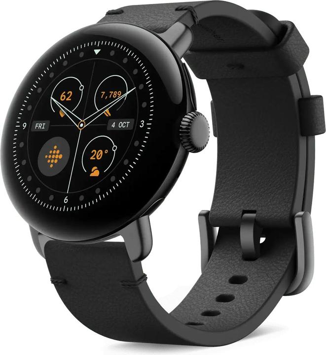 Google Leather Band (Leder)