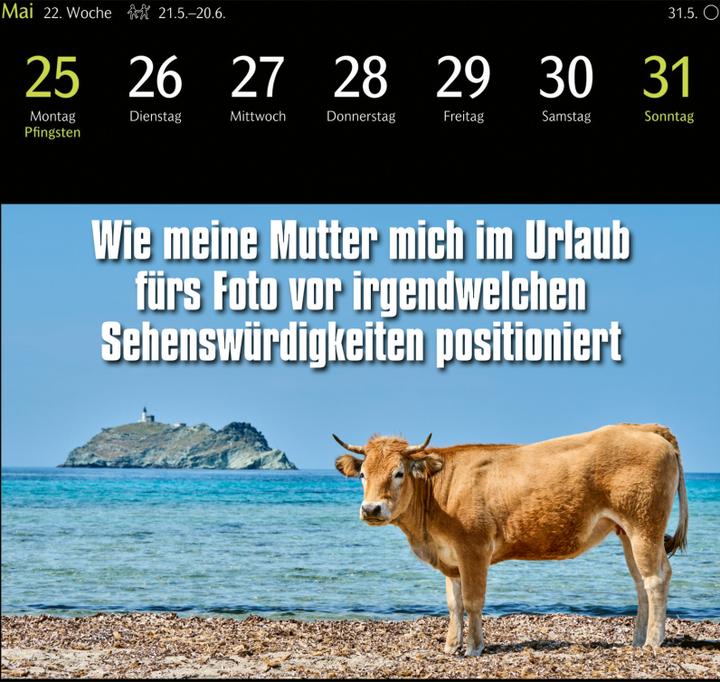 Immagine prodotto Harenberg Calendario cartoline animali 2025 - 53 cartoline animali divertenti (16 x 17,5 cm)