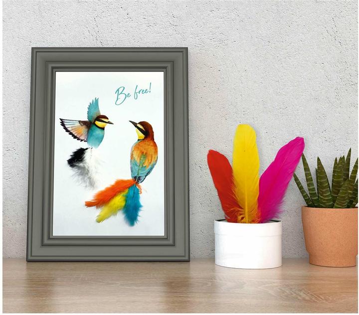 Image du produit Ursus Springs