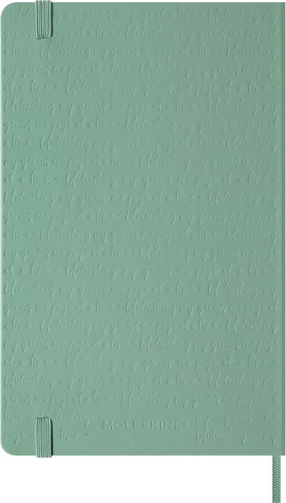 Image du produit Moleskine Notizbuch L/A5, blanko, Salbeigrün (A5, Blanc, Couverture rigide)