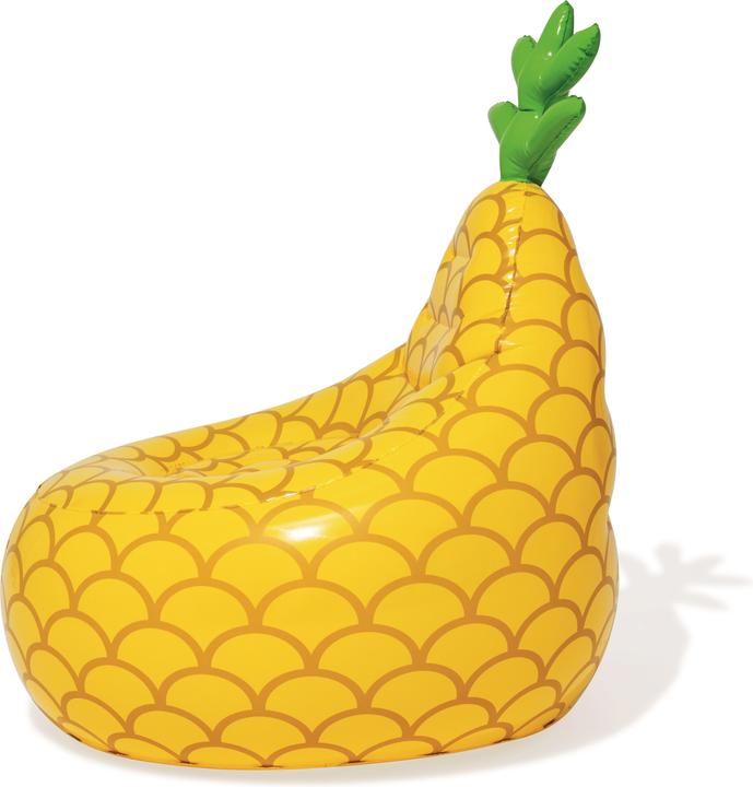 Actual product image Bestway 75066