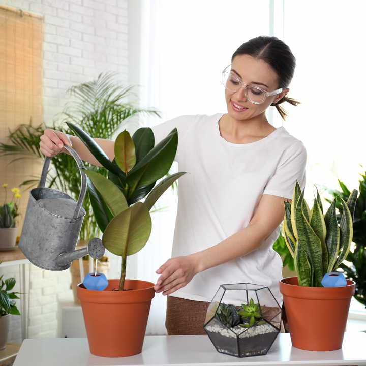 Actual product image Relaxdays Watering globes (Irrigation balls)