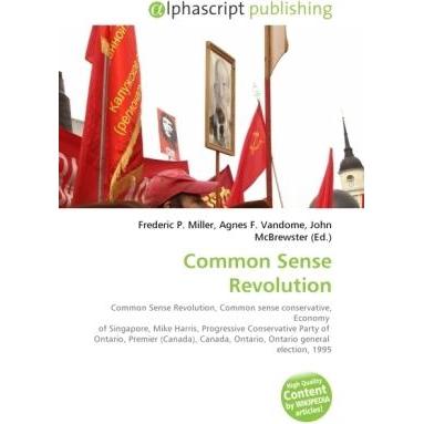 Common Sense Revolution, Fachbücher