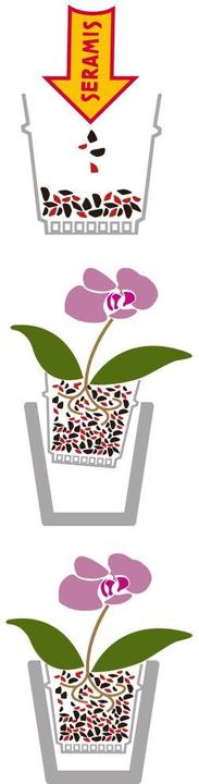 Immagine prodotto Maag Substrato speciale per orchidee (7 l)