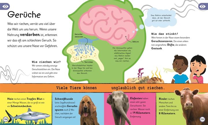 Produktbild Wissen für Vorschulkids Was weisst du über den Körper (Deutsch, Andrea Mills, Bipasha Choudhury, 2024)