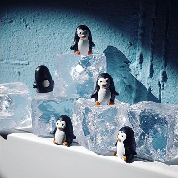 Immagine prodotto Trendform Pingu (6x)