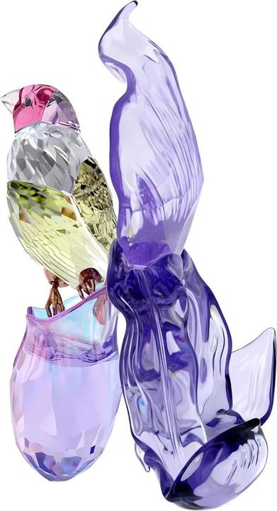 Jaune, Noir, Pink, Rose, Rouge, Violet