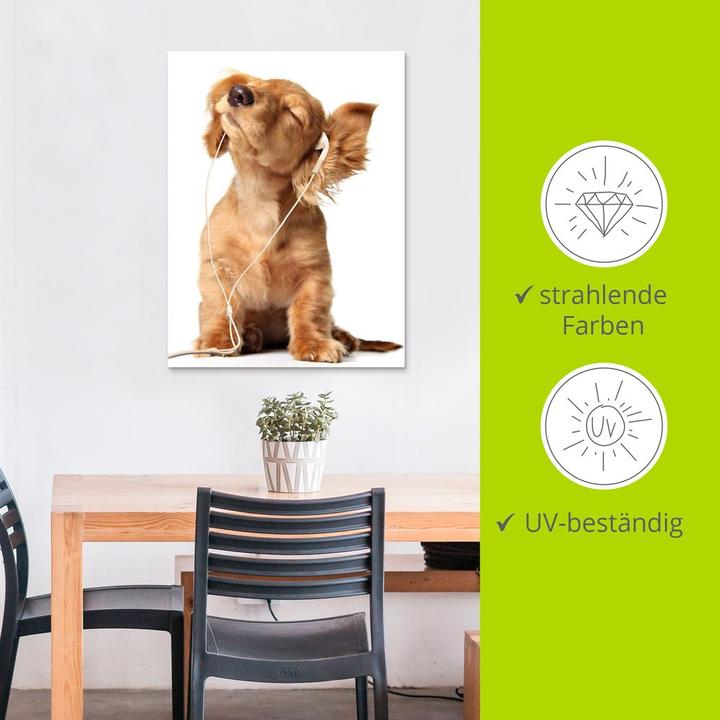 Actual product image Artland Young dog listens to music via headphones T5QE (60 x 80 cm)