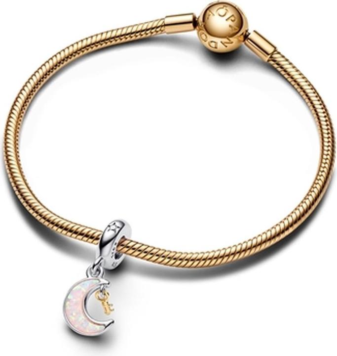Image du produit Pandora Moments 762985C01