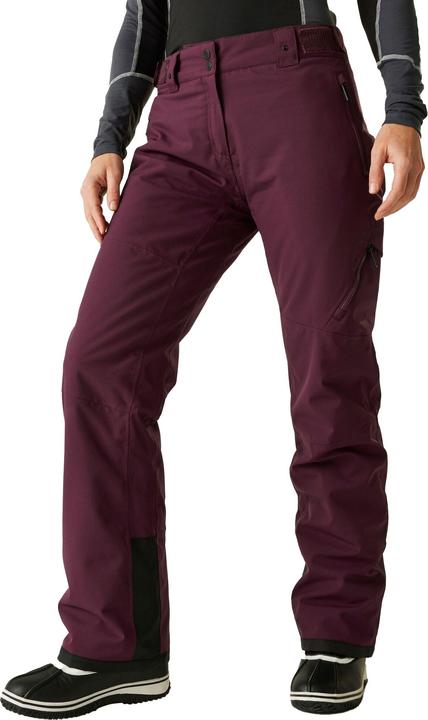 Actual product image Regatta Womens/Ladies Ice Ski Trousers (44)