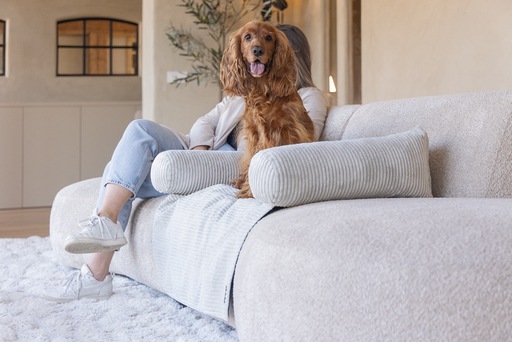 Productafbeelding Designed by Lotte Bankkussen Geribd (Hond)