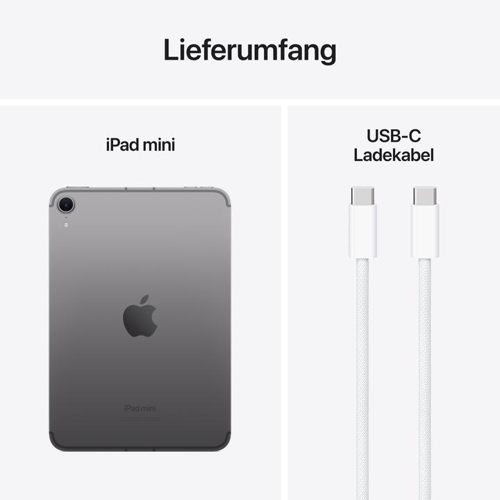 Actual product image Apple iPad mini (2024) (WLAN only, 8.30", 256 GB, Space grey)