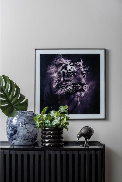 Actual product image present time Tiger